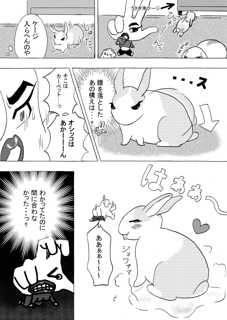 うさぎがカーペットにオシッコしちゃった!!